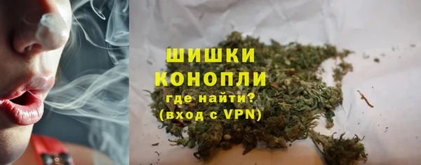 мдпв Снежинск