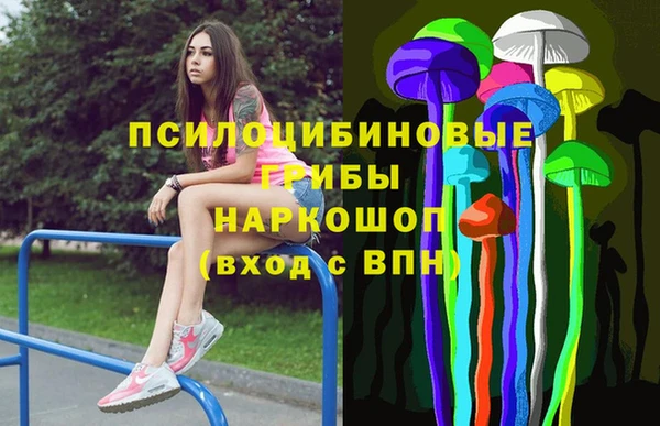 дмт Снежногорск