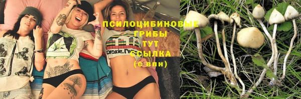 мдпв Снежинск