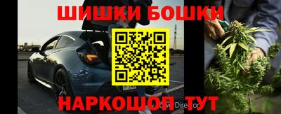 шишки Моздок