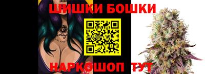 МДПВ Можга