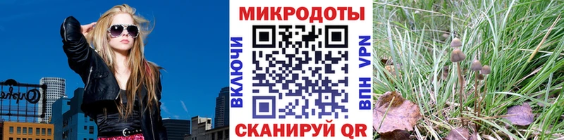 наркота  кракен вход  Псилоцибиновые грибы Psilocybe  Северодвинск 