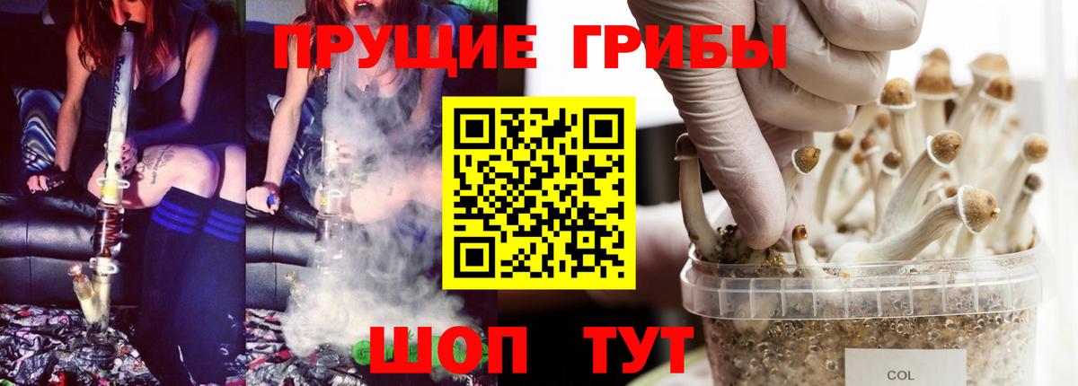 Северодвинск  цены наркотик  Вход с VPN  Галлюциногенные грибы мицелий 