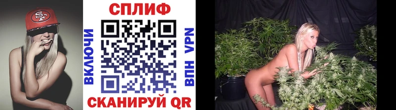 где можно купить Северодвинск Бошки марихуана MAZAR